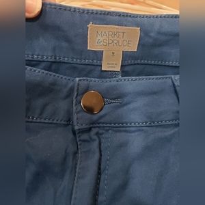 MARKET & SPRUCE Cotton Blue Shorts